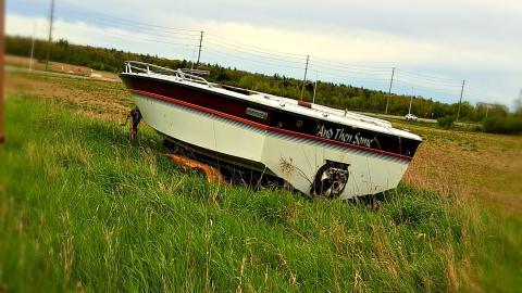 And then some - 0abde138-411f-49c3-b79b-8e26f6dd09c9-1_all_10030.jpg