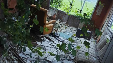 And then some - IMG_20240603_074941_266.jpg