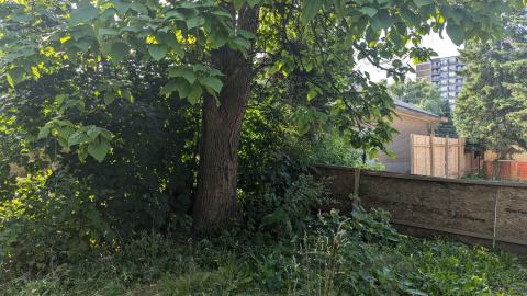 Photo from Stripped bare