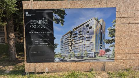 Photo from Stripped bare