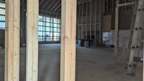 Photo from Stripped bare