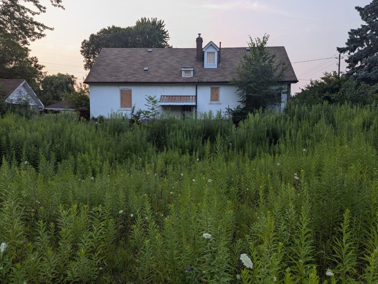 Generic Suburban Bungalow #22 - PXL_20240728_002045868.jpg