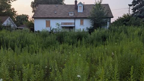 Generic Suburban Bungalow #22 cover photo