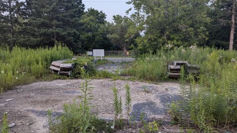 Birchmount Bungalow photo 5