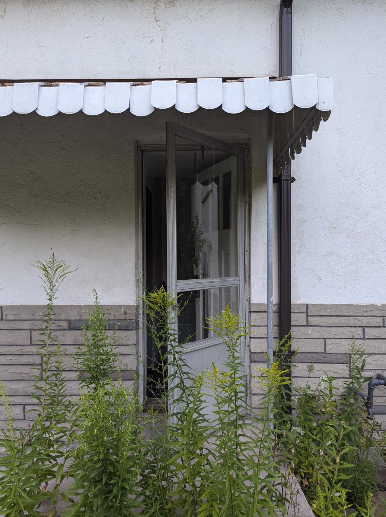 Generic Suburban Bungalow #22 - PXL_20240728_002641176.MP.jpg