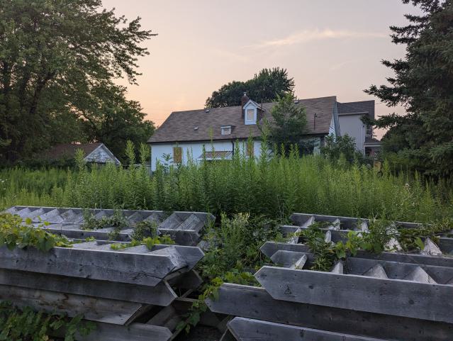 Generic Suburban Bungalow #22 - PXL_20240728_002909627.jpg