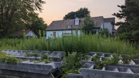 Birchmount Bungalow cover photo