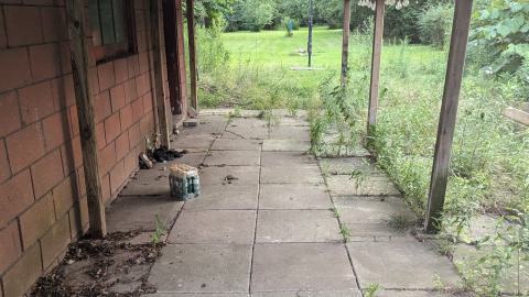 Generic Suburban Bungalow #22 - PXL_20240728_002310439.jpg