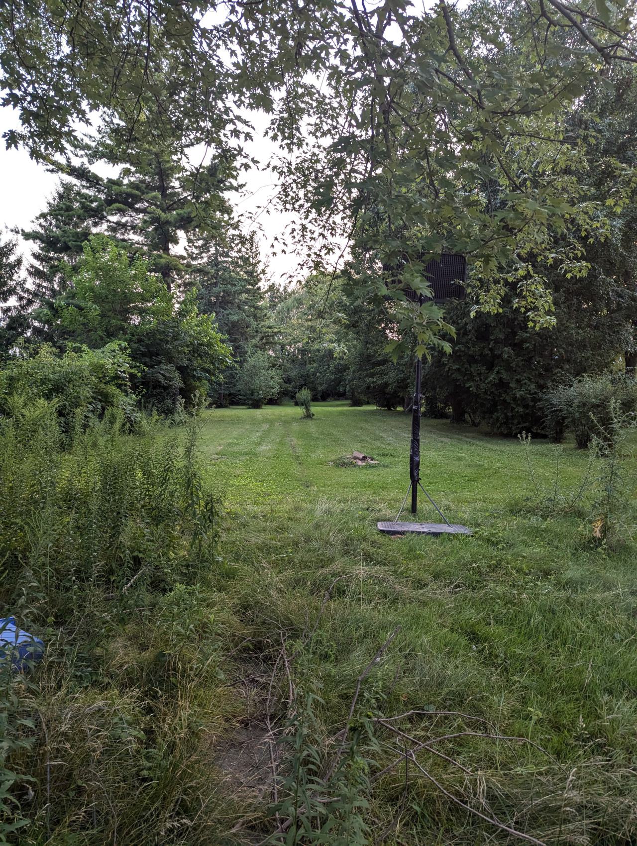 Generic Suburban Bungalow #22 - PXL_20240728_002348167.jpg