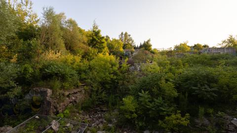 An Awesome Level 1 - IMG_7931-1.jpg