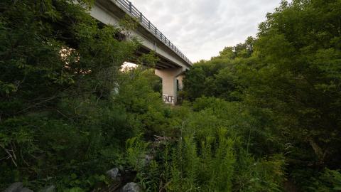 An Awesome Level 1 - IMG_8011-1.jpg