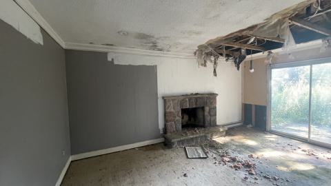 Gutted house - IMG_6066.jpeg