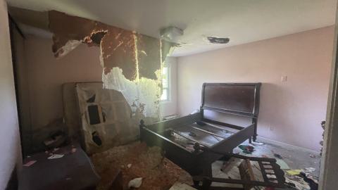 Gutted house - IMG_6070.jpeg