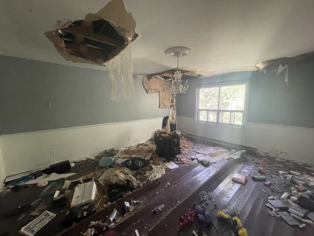 Gutted house - IMG_6072.jpeg