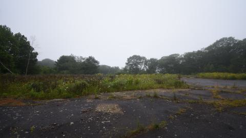 Photo from The field where the Deer Sleep