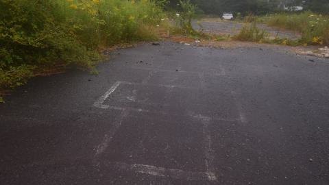 Photo from The field where the Deer Sleep