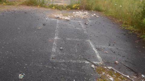 Photo from The field where the Deer Sleep