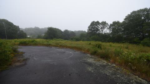 The field where the Deer Sleep - ADS_1781.JPG