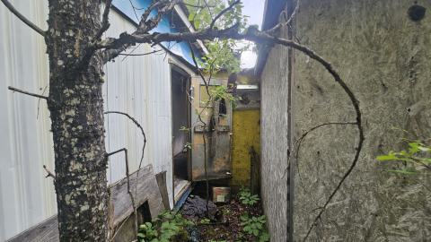 Kenty Mine - 20240729_162926.jpg