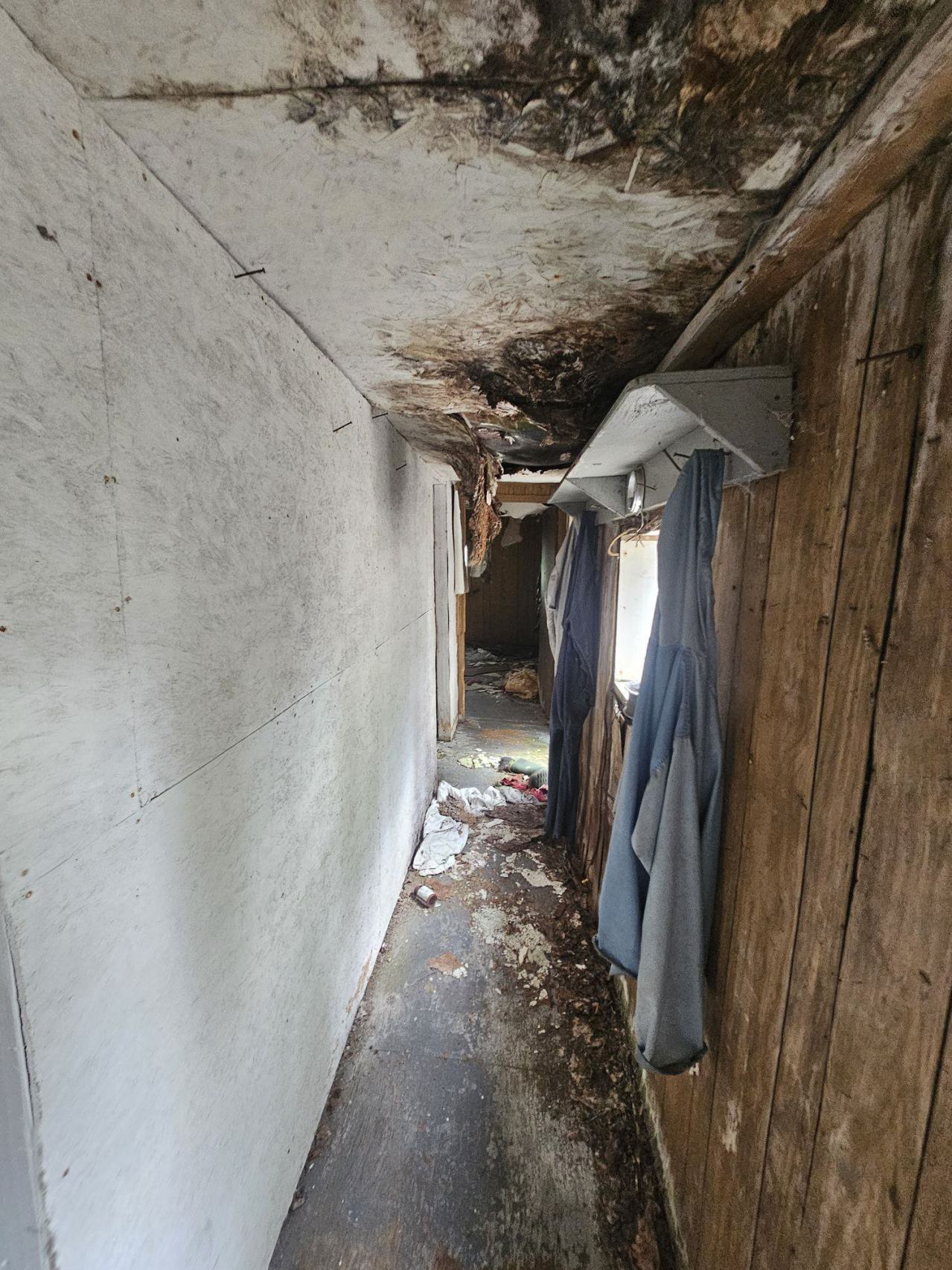 Kenty Mine - 20240729_162932.jpg