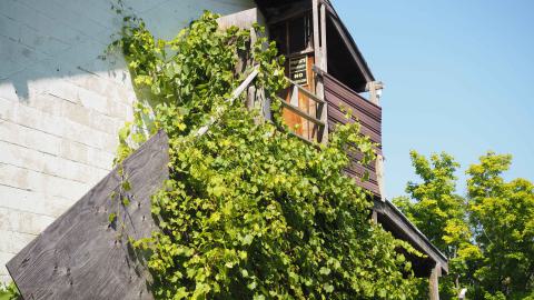 Auberge motel - P1010092.jpg