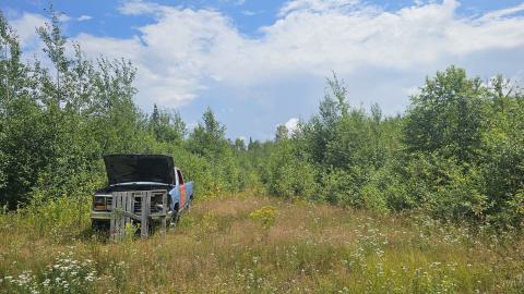 Tophet 2024 - 20240730_124331.jpg