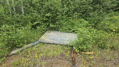 Tophet 2024 - 20240730_130042.jpg