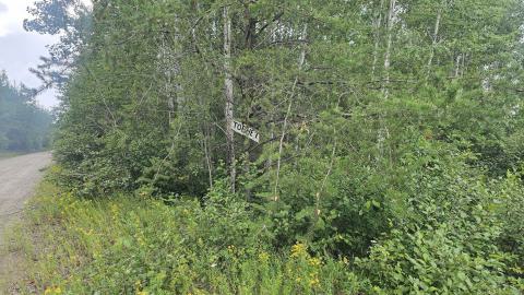 Tophet 2024 - 20240730_130103.jpg