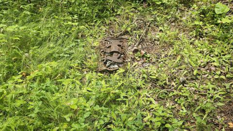 Tophet 2024 - 20240730_133552.jpg