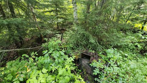 Tophet 2024 - 20240730_133725.jpg