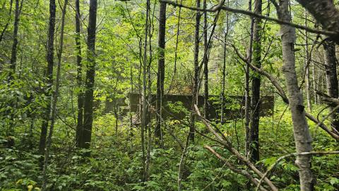 Tophet 2024 - 20240730_134206.jpg