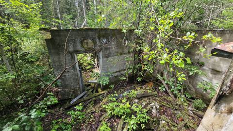 Photo from Tophet 2024