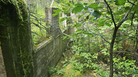 Tophet 2024 - 20240730_134305.jpg