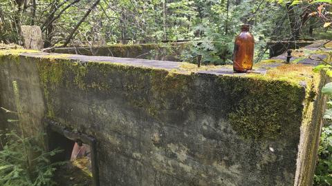 Tophet 2024 - 20240730_134421.jpg