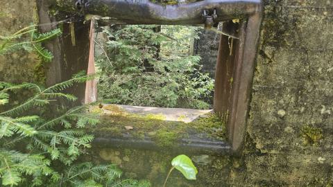 Tophet 2024 - 20240730_134427.jpg