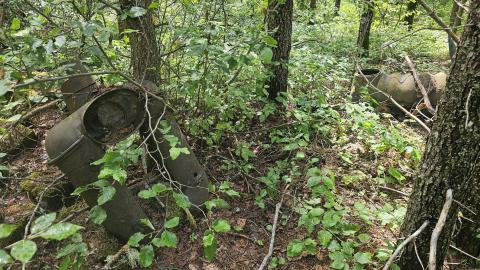 Tophet 2024 - 20240730_134619.jpg