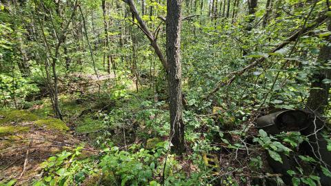 Tophet 2024 - 20240730_134634.jpg