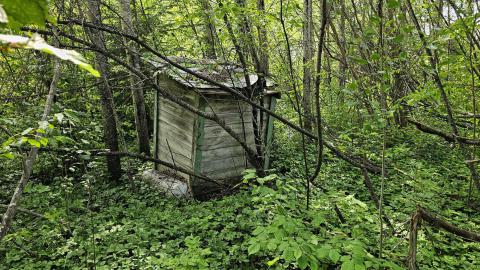 Tophet 2024 - 20240730_135043.jpg