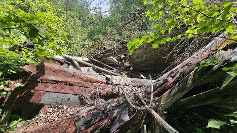 Tophet 2024 - 20240730_135209.jpg