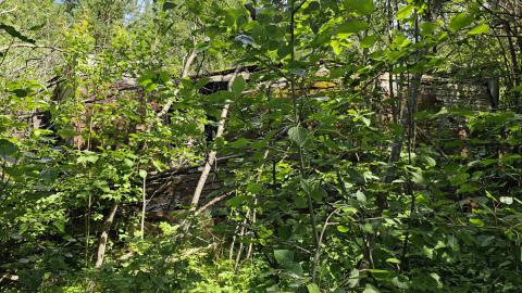 Photo from Tophet 2024