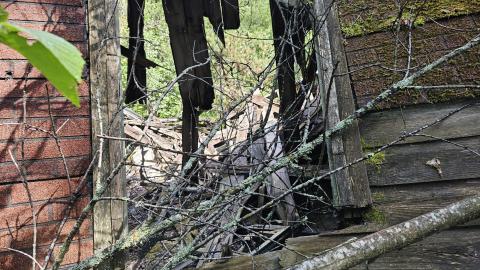 Tophet 2024 - 20240730_135250.jpg