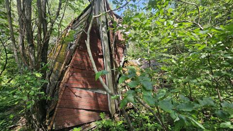 Tophet 2024 - 20240730_135316.jpg