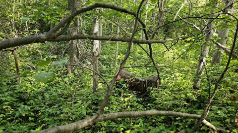 Tophet 2024 - 20240730_135458.jpg