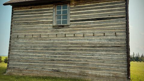 Pigeon Sacrifice - FD5D03DE-457A-4D0B-B477-3F643C62F630.jpeg