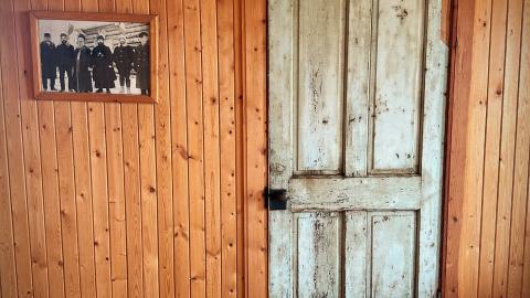 Pigeon Sacrifice - D734C245-9C58-4531-B38F-4D172032AEC5.jpeg