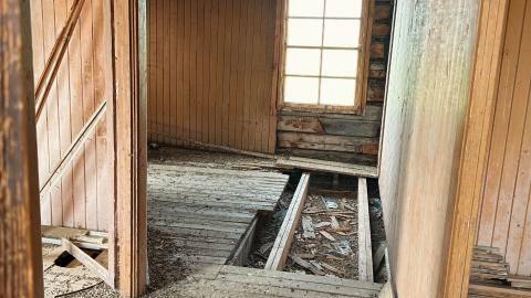 Pigeon Sacrifice - 0D34CF94-D598-423D-8F8F-5831B5F3BE88.jpeg