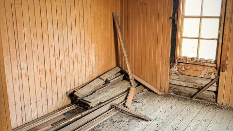 Pigeon Sacrifice - 7C7DA27E-E206-416C-B3BF-381105DAE88D.jpeg