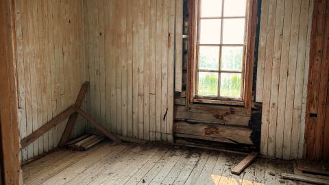 Pigeon Sacrifice - F2ACC208-239A-4BFE-9C5E-859600C7FDB1.jpeg