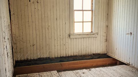 Pigeon Sacrifice - 7DFFE5EC-6E8C-401D-B35F-336FF63177E7.jpeg