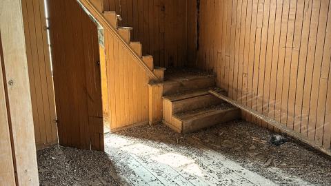 Pigeon Sacrifice - 33BC5FAF-501A-47A7-9D5D-BEF69D6D6221.jpeg